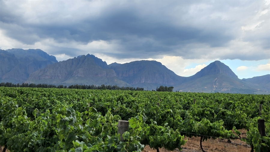 Commercial Property for Sale in Paarl Central Western Cape